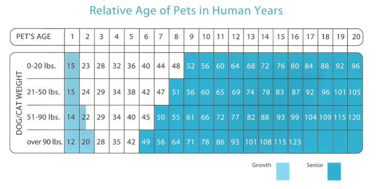 how do cats age compared to dogs